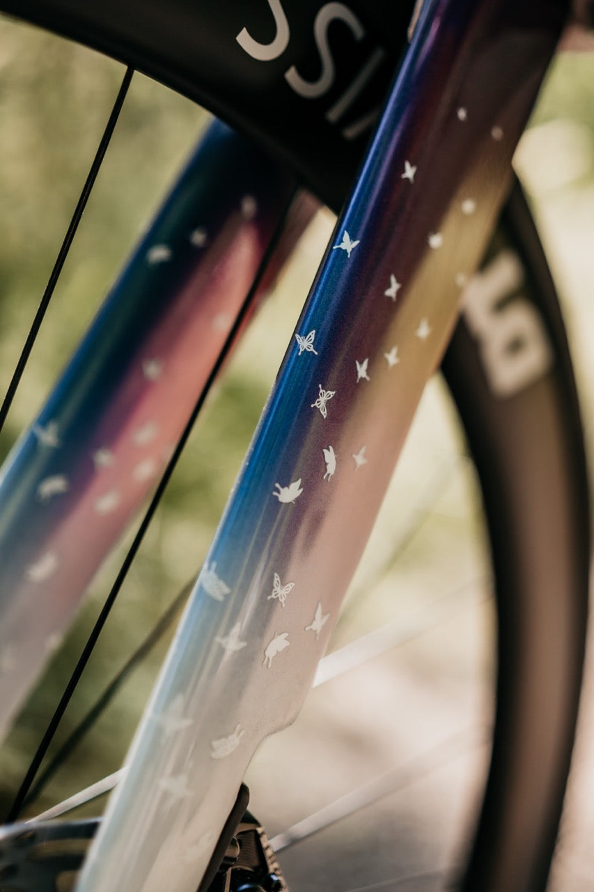 TML x RIDLEY NOAH - 4